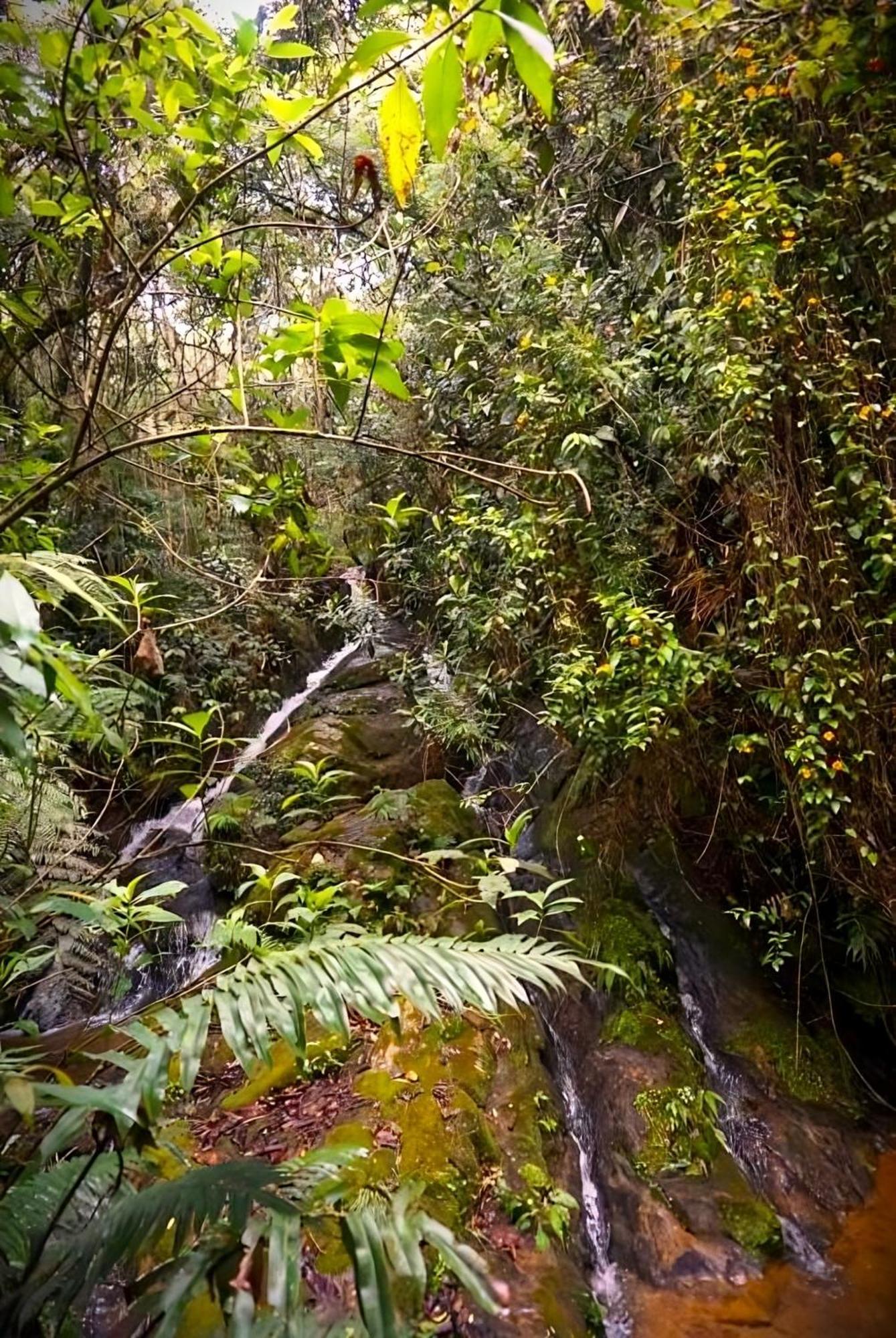Encanto Minicasitas En Medio De La Naturaleza Santa Elena  Esterno foto