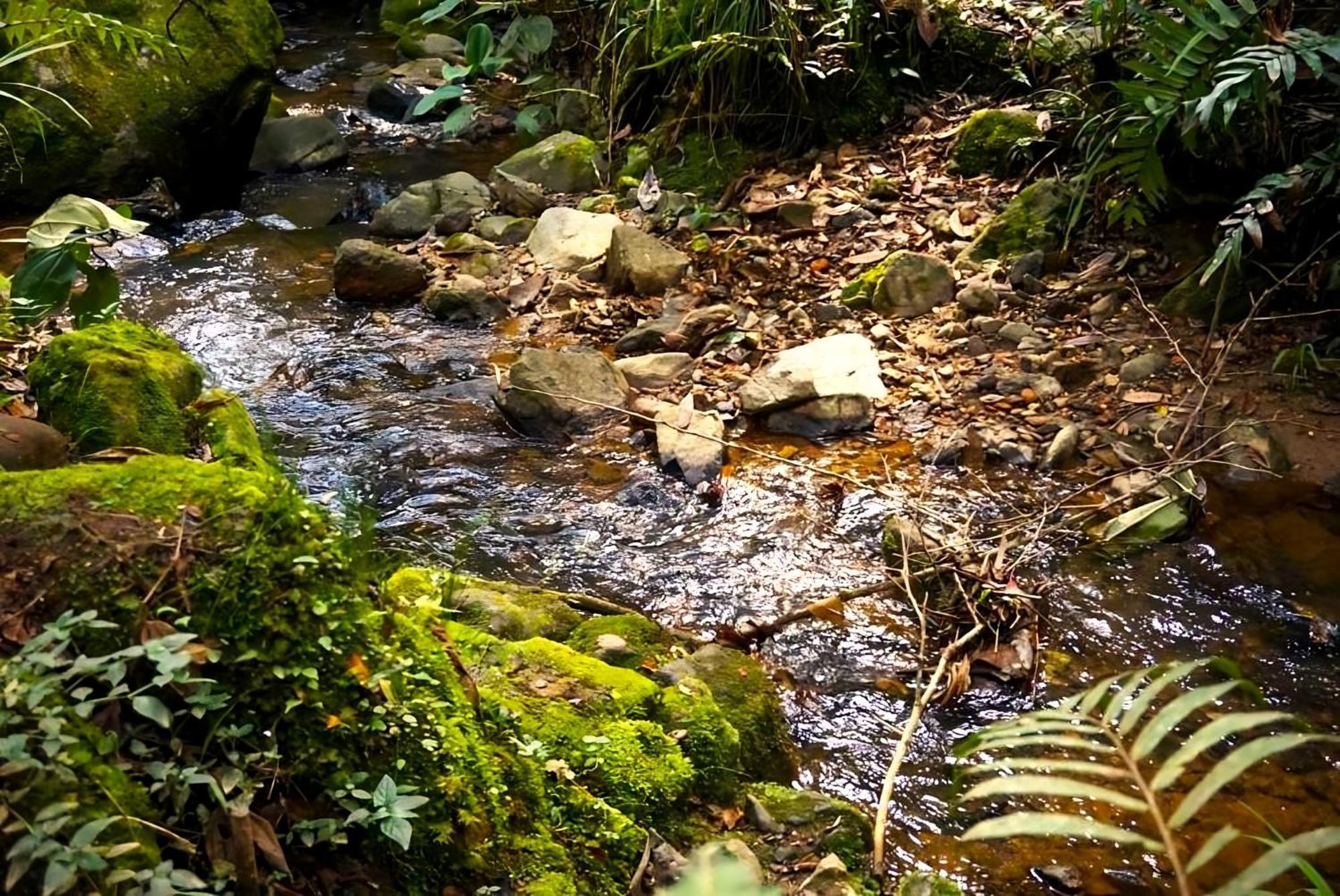 Encanto Minicasitas En Medio De La Naturaleza Santa Elena  Esterno foto