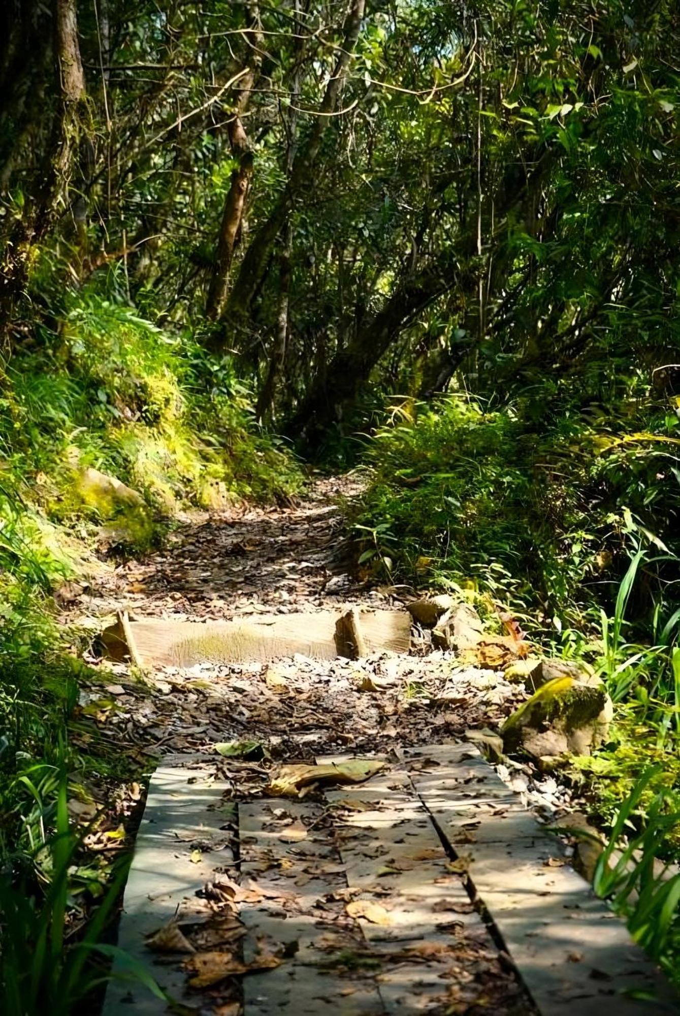 Encanto Minicasitas En Medio De La Naturaleza Santa Elena  Esterno foto