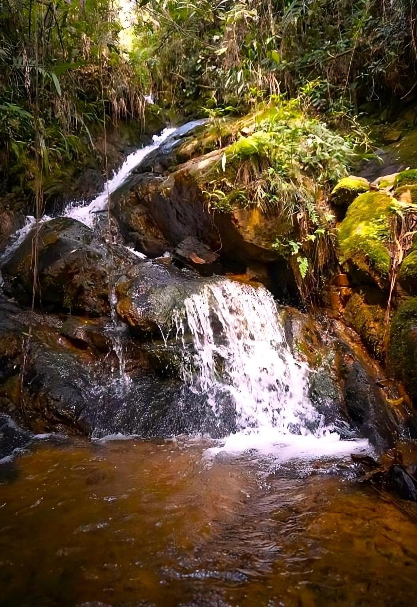 Encanto Minicasitas En Medio De La Naturaleza Santa Elena  Esterno foto