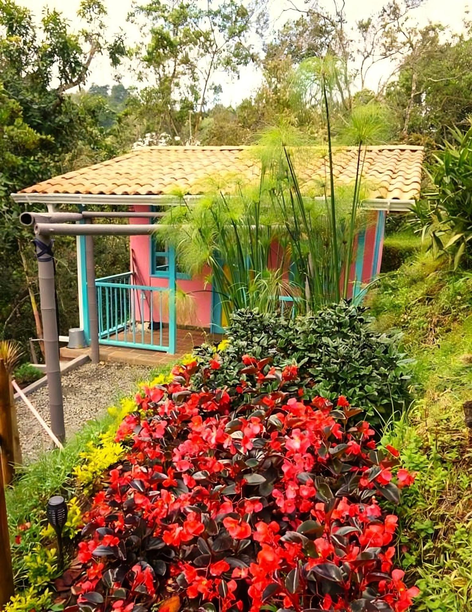 Encanto Minicasitas En Medio De La Naturaleza Santa Elena  Esterno foto