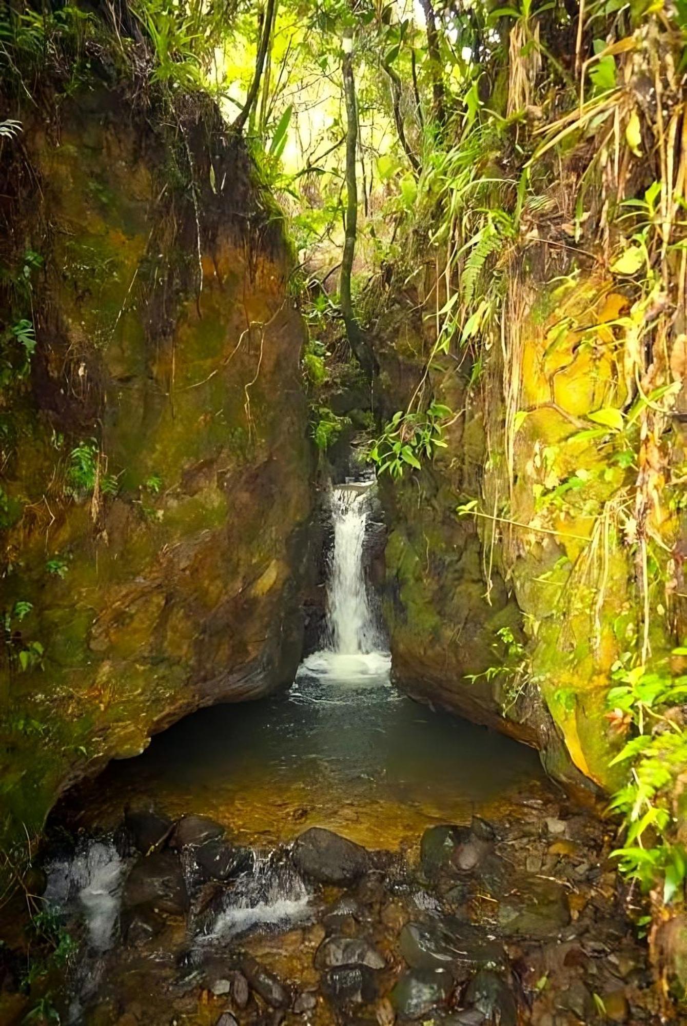 Encanto Minicasitas En Medio De La Naturaleza Santa Elena  Esterno foto